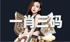 奇异的495纪律