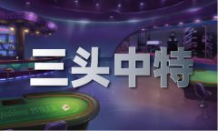 《天龙八部》十大高手名单（中国）IOS版手机A